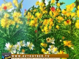 KHYBER SAHAR ” MUHARRAM SPECIAL ” ( 29-09-2017 )