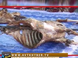 KHAWANDOONA AU SAILOONA ( 05-10-2017 )