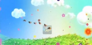 KHYBER SAHAR PESHAWAR ( 05-10-2017 )