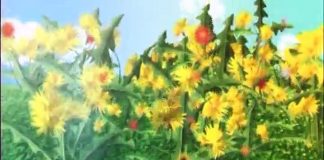 KHYBER SAHAR PESHAWAR ( 15-10-2017 )