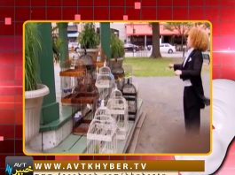 MAKHANDA ” ISB ” ( 23-10-2017 )