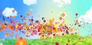 KHYBER SAHAR PESHAWAR ( 29-10-2017 )