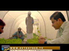 KHYBER SAHAR | 17-11-2018 | AVT Khyber