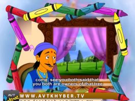 GUL O GULZAR ( EP # 56 -02-05-19 )AVT Khyber