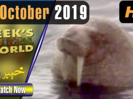 Zeek Animal World | 16 October 2019 | AVT Khyber